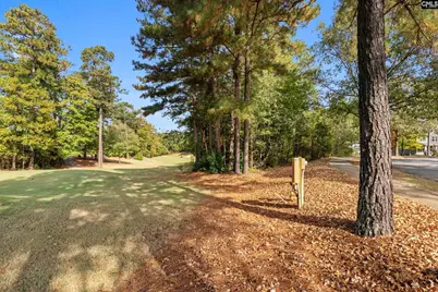 245 Woodlander Drive, Blythewood, SC 29016 - Photo 10