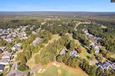 245 Woodlander Drive, Blythewood, SC 29016 - Photo 12