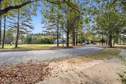 245 Woodlander Drive, Blythewood, SC 29016 - Photo 6