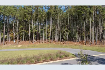 Lot 109 Stewart Landing Drive #109, Prosperity, SC 29127 - Photo 4