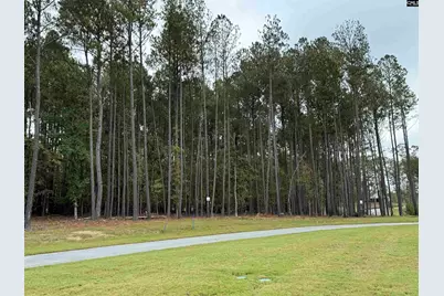 Lot 109 Stewart Landing Drive #109, Prosperity, SC 29127 - Photo 6