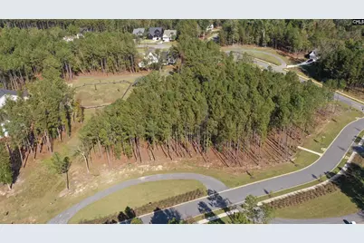 Lot 109 Stewart Landing Drive #109, Prosperity, SC 29127 - Photo 2