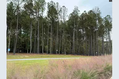 Lot 109 Stewart Landing Drive #109, Prosperity, SC 29127 - Photo 4