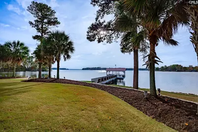 1118 Marble Arch Court, Chapin, SC 29036 - Photo 72