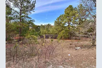 0 Emanuel Church Road, West Columbia, SC 29170 - Photo 24