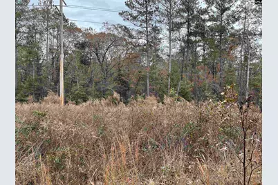 Tbd Parkwood Avenue 4, North, SC 29112 - Photo 4