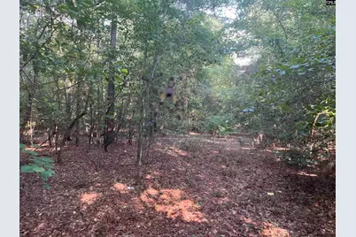 Tbd Parkwood Avenue 10, North, SC 29112 - Photo 8