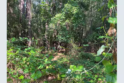 Tbd Parkwood Avenue 10, North, SC 29112 - Photo 10