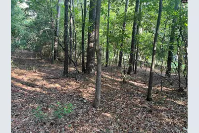 Tbd Parkwood Avenue 10, North, SC 29112 - Photo 6