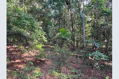 Tbd Parkwood Avenue 10, North, SC 29112 - Photo 4