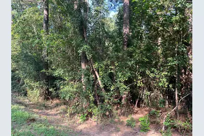 Tbd Parkwood Avenue 10, North, SC 29112 - Photo 2