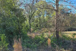 0 Popular Street Lot 1, Cayce, SC 29033 - Photo 1