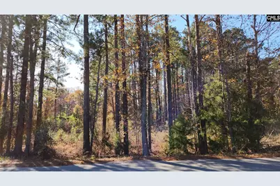 2221 Old Cherokee Road Lot #2, Lexington, SC 29072 - Photo 1
