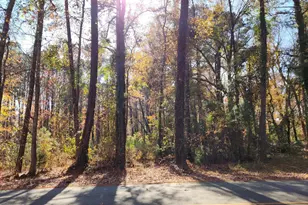 2235 Old Cherokee Rd Lot 5, Lexington, SC 29072 - Photo 1