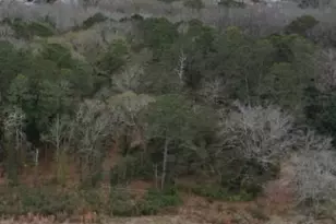 Lot 7 &amp 8 Popular St, Cayce, SC 29033 - Photo 12