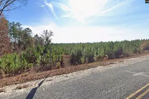 242 Wheeler Rd, Camden, SC 29020 - Photo 1