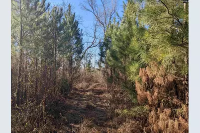 1135 Elkwood Lane, Camden, SC 29020 - Photo 4