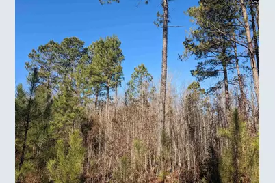 1135 Elkwood Lane, Camden, SC 29020 - Photo 8