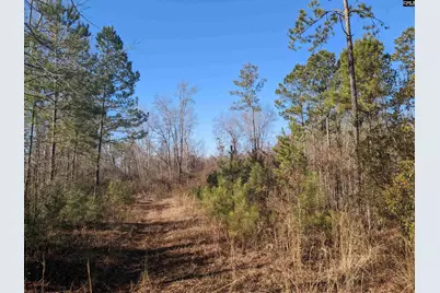 1135 Elkwood Lane, Camden, SC 29020 - Photo 6