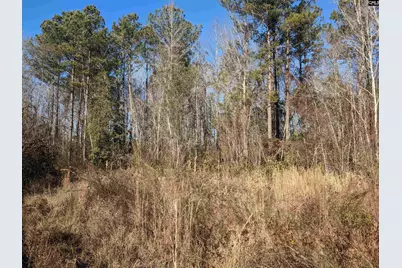 1135 Elkwood Lane, Camden, SC 29020 - Photo 10