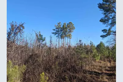 1135 Elkwood Lane, Camden, SC 29020 - Photo 18