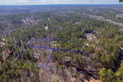 Little Saluda Lane #Lot 089, Batesburg, SC 29006 - Photo 2