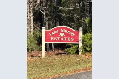 Little Saluda Lane #Lot 089, Batesburg, SC 29006 - Photo 4