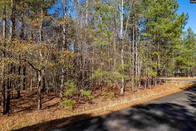 1115 Scooter Bridge Road #Lot 090, Batesburg, SC 29006 - Photo 4