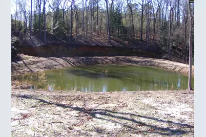 0 Great Circle Drive, Saint Matthews, SC 29135 - Photo 16