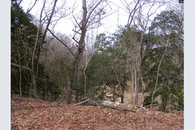 0 Great Circle Drive, Saint Matthews, SC 29135 - Photo 6