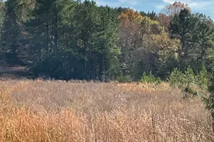 3221 Leeds Rd, Chester, SC 29706 - Photo 22