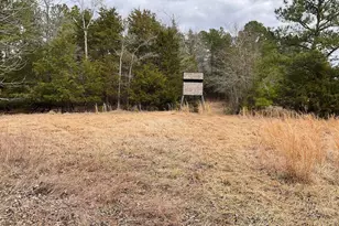 3221 Leeds Rd, Chester, SC 29706 - Photo 68