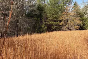 3221 Leeds Rd, Chester, SC 29706 - Photo 64