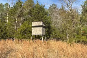 3221 Leeds Rd, Chester, SC 29706 - Photo 16