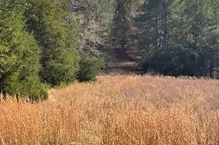 3221 Leeds Rd, Chester, SC 29706 - Photo 20