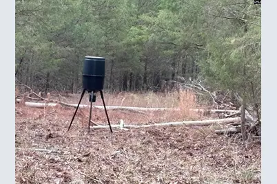 3221 Leeds Road, Chester, SC 29706 - Photo 72