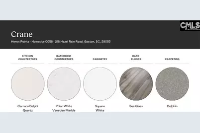 218 Hazel Rain Road, Gaston, SC 29053 - Photo 4