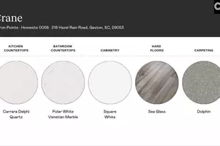 218 Hazel Rain Rd, Gaston, SC 29053 - Photo 4