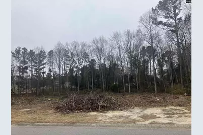 W/S Cranley Road #16, Columbia, SC 29229 - Photo 6