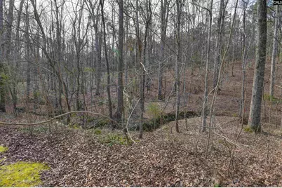 228 Winding Oak Way, Blythewood, SC 29016 - Photo 4