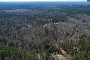 1241 Cardinal Dr, Blythewood, SC 29016 - Photo 78