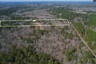 1241 Cardinal Dr, Blythewood, SC 29016 - Photo 74