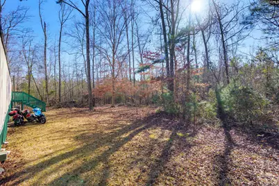 236 Placid Circle, Batesburg, SC 29070 - Photo 16