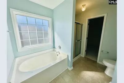 252 Hollingsworth Lane, Lexington, SC 29072 - Photo 20