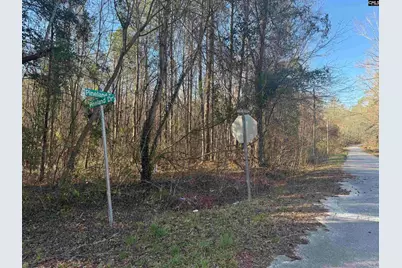 1070 Pineland Drive, Columbia, SC 29203 - Photo 1