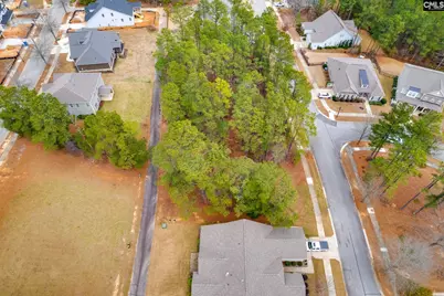 113 Playground Road, Blythewood, SC 29016 - Photo 4