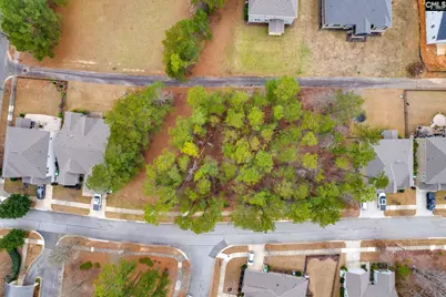 113 Playground Road, Blythewood, SC 29016 - Photo 10