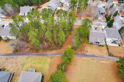 113 Playground Road, Blythewood, SC 29016 - Photo 6