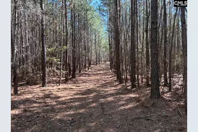 Tract 6 Buzhardt Road #Tract 6, Pomaria, SC 29126 - Photo 6