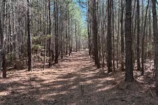 Tract 6 Buzhardt Rd, Pomaria, SC 29126 - Photo 6